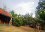 Tanean Lanjeng, Rumah Adat Masyarakat Madura