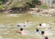 Tragedi Tenggelam Di Sungai Kali Kamoning: Siswa Smpn 2 Sampang Meninggal Dunia
