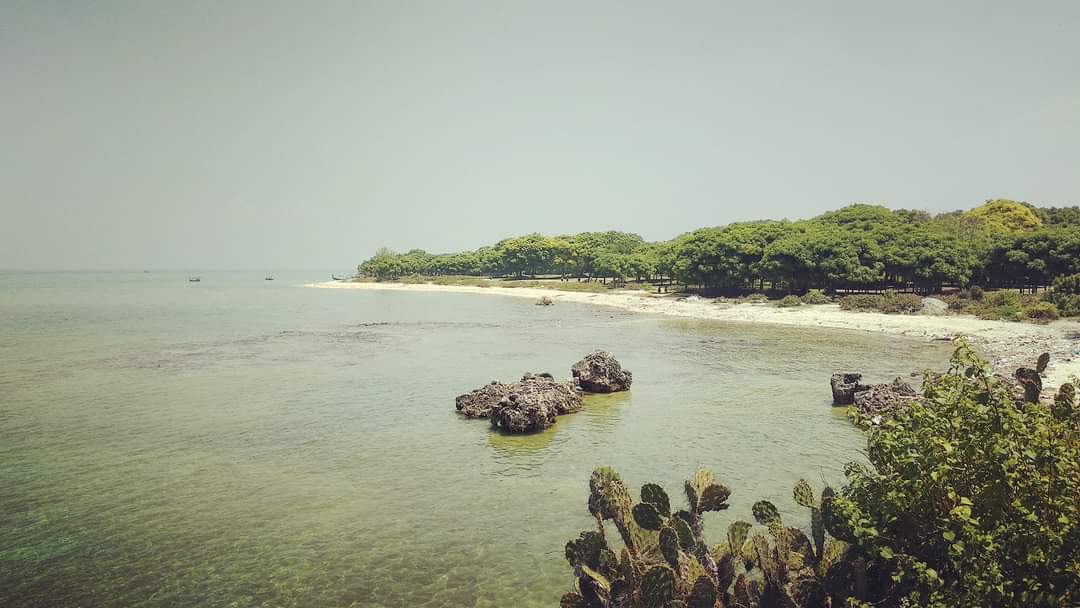 Gugusan Pulau Madura dan Potensi Kekayaan Terpendam 1 Pulau Mandangin Madura