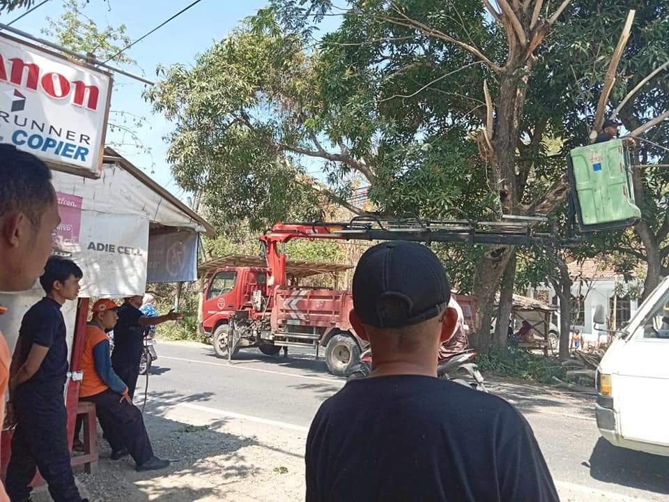 Pohon Miring di Desa Komis Telah Ditebang, Menghindari Bahaya Bagi Pengendara 1 Petugas Saat Menebang Pahon (Foto by Bung Fafan