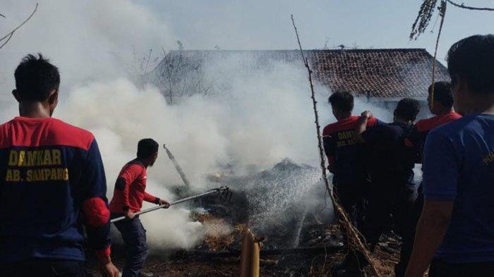 Kebakaran Hebat di Kandang Sapi, Dua Sapi Mati di Sampang 1 Petugas pemadam saat memadamkan kobaran api. (Foto : Tribunnews)