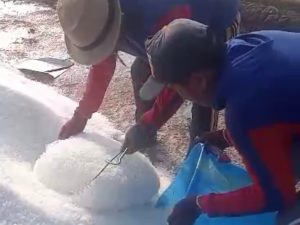Aktivitas Produksi Garam Di Salah Satu Lahan Tambak Garam Di Sampang